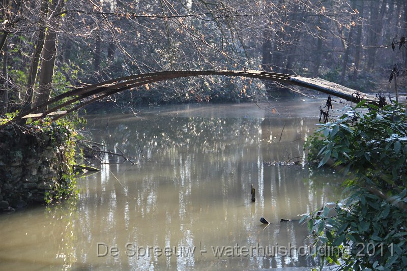 IMG_0735.JPG - Bufferbosbeek (Buffermoeras)