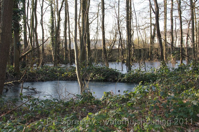 IMG_0738.JPG - Buffermoeras