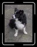 HPIM2221 * 361 x 480 * (40KB)