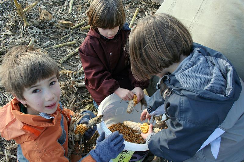 IMG_0477.JPG - ah, komt gij ons trekken...