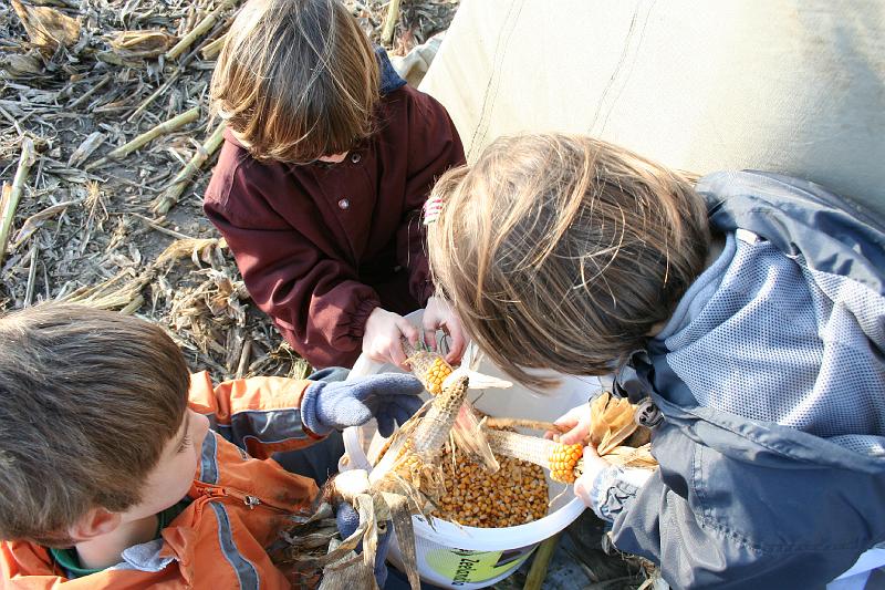 IMG_0478.JPG - Ondertussen buiten, het verzamelen van kiekeneten...