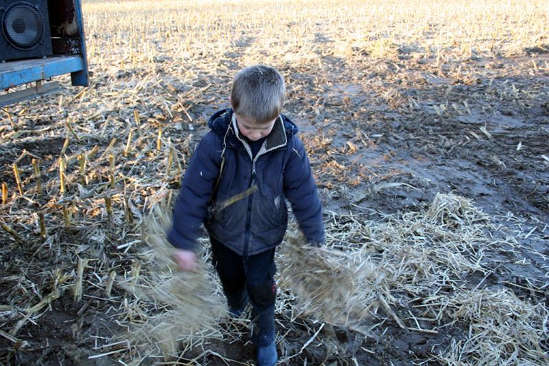 IMG_0523.JPG - het stof eruit schudden..