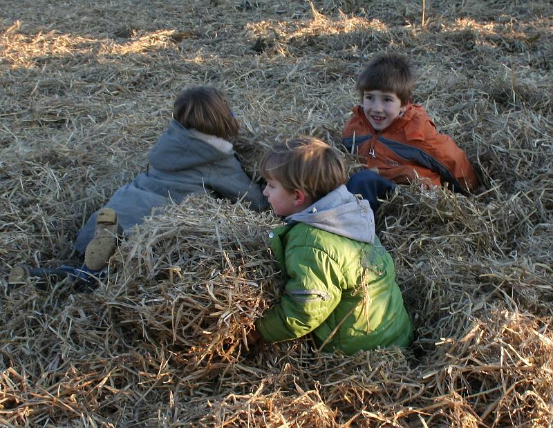 IMG_0535.JPG - jongens, laten we ons hier verstoppen want daar hebben we de ...