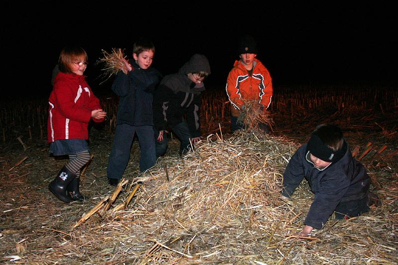 IMG_0653.JPG - en in het hooi ravotten... 
