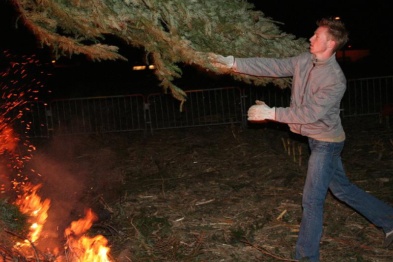 IMG_0699.JPG - voilà, nog een boomke en dat met één hand...