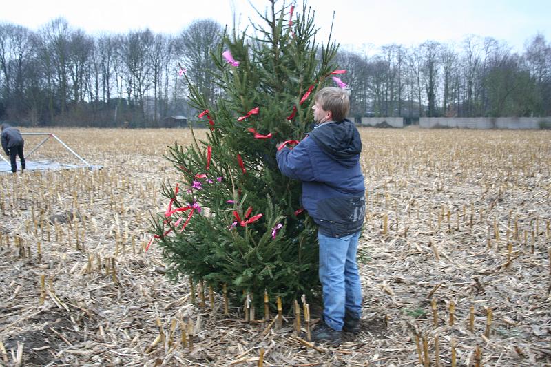 IMG_0389.JPG - staat 'tem' recht?